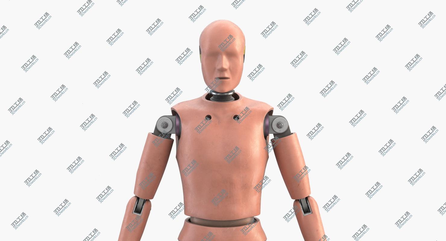 images/goods_img/20210319/Crash Test Dummy 1 3D model/4.jpg